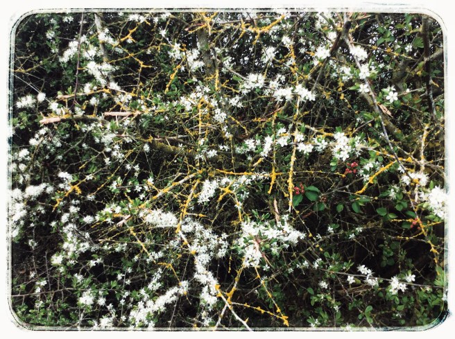 77254B08-2104-48D3-907E-45A60A6A4957